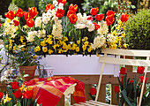 Tulips, hyacinths, daffodil, viola, scilla