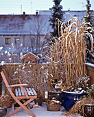 Grass balcony in winter with Pennisetum