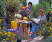 Terrasse: Nepeta, CALCEOLARIA, Passiflora,