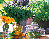 Melissa officinalis, Lippia citriodorus, calendula