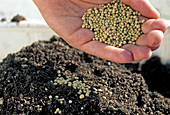 Permanent fertilizer in the earth