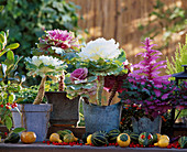 Table arrangement with various Brassica oleracea and ornamental gourds