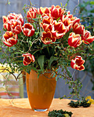 Tulip bouquet with Salix tortuosa (corkscrew willow) branches