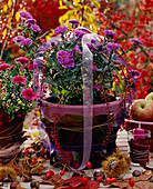 Aster hybrid autumnal branches, pot wrapped in leaves and ribbon as decoration
