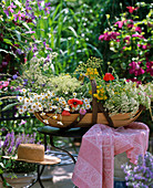 Basket with fresh cut meadow flowers