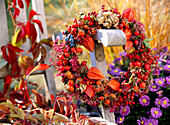 Autumn wreath, Rosa, Prunus, Physalis, Erica