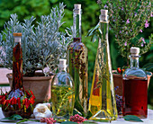 Herbal oil and herbal vinegar, lavandula (lavender), rosemary