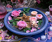 Pink 'Mary Rose', 'Bordure Nacreè' (Rose)
