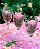 Pink roses and thyme as table decoration