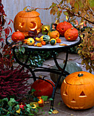 Cucurbita (pumpkin) eroded and carved, ornamental gourds, lanterns