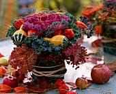 Bassica cabbage, cucurbita pumpkins, rose rosehips, physalis lanterns