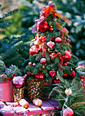 Kleiner Weihnachtsbaum aus Zweigen gebunden und mit Rauhreif