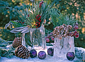 Ice blocks as vases, pinus (pine) and cones
