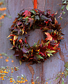 Wreath of liquidambar leaves