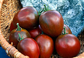 Tomato 'Noire De Crimee' in the basket