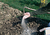 Bodenvorbereitung für Aussaat oder Pflanzen 1. Step: Gesteinsmehl ausbringen 1/4
