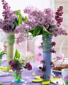 Syringa mixed lilac)