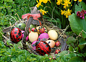 Handle basket with chocolate ladybugs