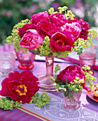 Paeonia (red and pink peonies)
