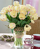 Tulip bouquet Tulipa hybrid