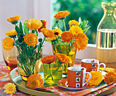 Calendula (marigold)