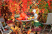 Autumn terrace with pumpkins, heather and ornamental cabbage