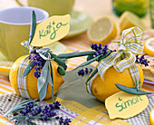 Citrus limon (lemon), Lavandula (lavender)