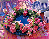 Pink vetch wreath