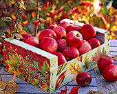 Malus in wooden box, with napkin technique with leaves
