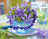 Arrangement of Agapanthus (African Ornamental Lily)