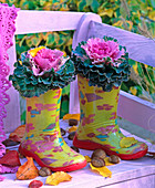 Brassica in children's rubber boots on bench, autumn leaves, chestnuts