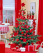 Weihnachtsbaum mit roten Kerzen, roten Sternen