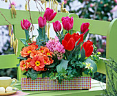 Plant fruit box with spring flowers