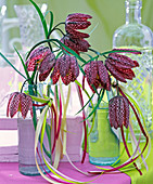 Sträuße aus Fritillaria (Schachbrettblume) in kleinen Glasflaschen
