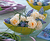 Narcissus 'Bridal Crown' (Daffodil), Muscari (Grape Hyacinth)
