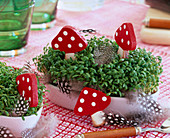 Lepidium (cress) in shell with feathers and decoration fly agaric