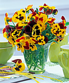 Bouquets of yellow-red viola wittrockiana in glass vase