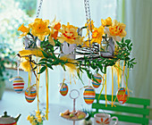 Hanging wreath with narcissus (Narcissus), simple and filled