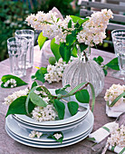 White syringa (lilac) in glass vase