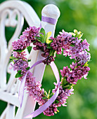 Heart of Syringa vulgaris (lilac)