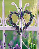 Heart of Lavandula, with purple and yellow bands