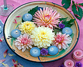 Flowers and leaves of dahlia in a shallow clay bowl