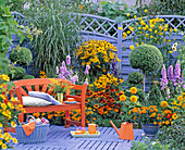 Gelbes Terrassenbeet mit oranger Holzbank