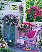 Petunia balcony with pink wooden lounger