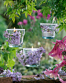 Hanging lanterns decorated with syringa (lilac)