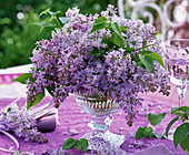 Bouquet of light purple syringa in glass bowl on purple tablecloth