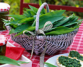 Allium ursinum (wild garlic) leaves in white basket, ciabatta