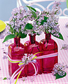 Syringa (Flieder) in pinken viereckigen Glasflaschen