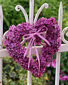 Purple syringa (lilac) heart on white metal fence