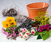 Colorful arrangement in Jardiniere